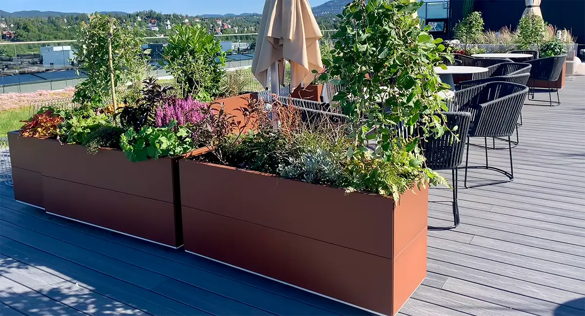 Utendørsbeplantning på takterrasse
