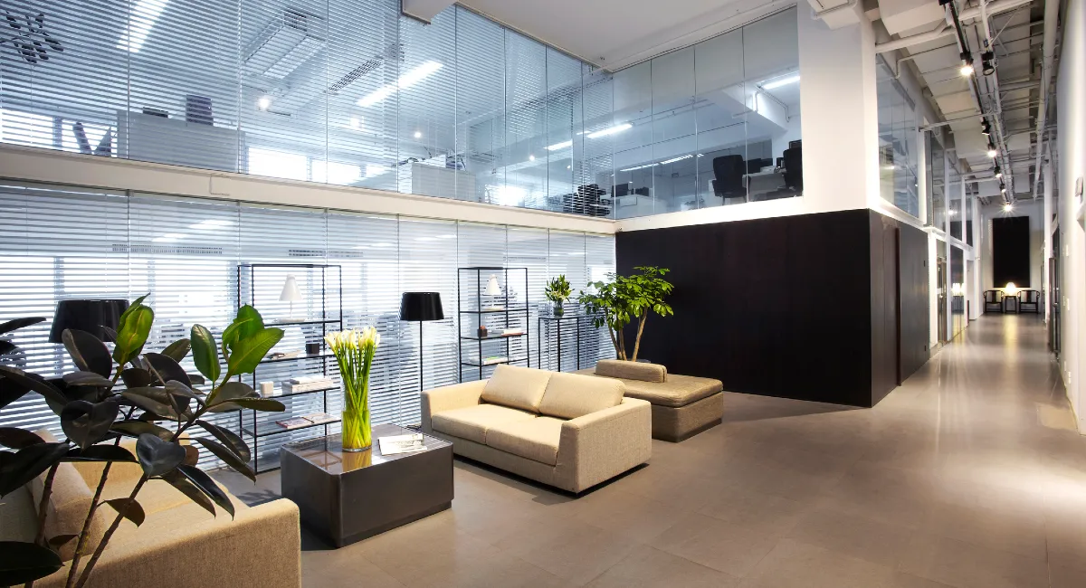 Ambius plants in office waiting area
