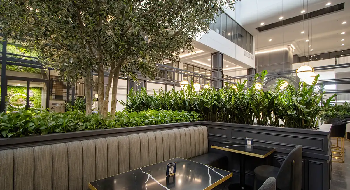 Planter kan gjenbrukes
