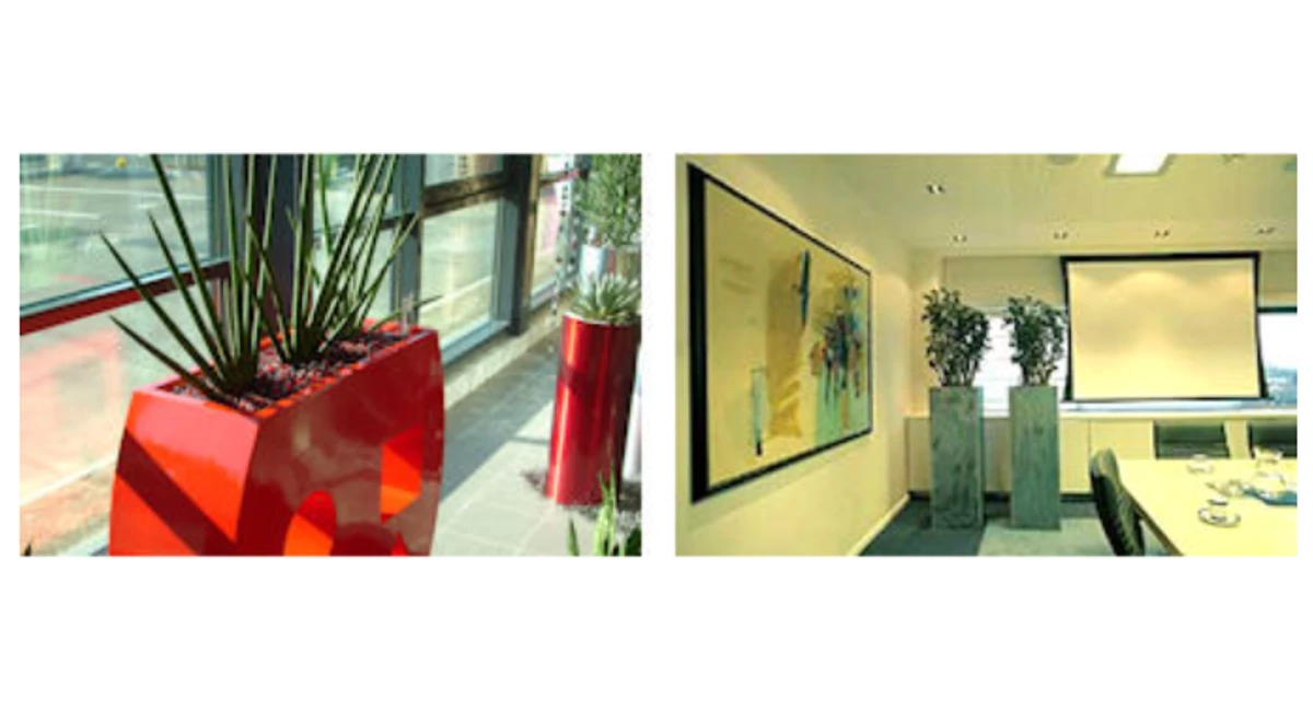 image-stock-ambius-outdoor-pots.webp