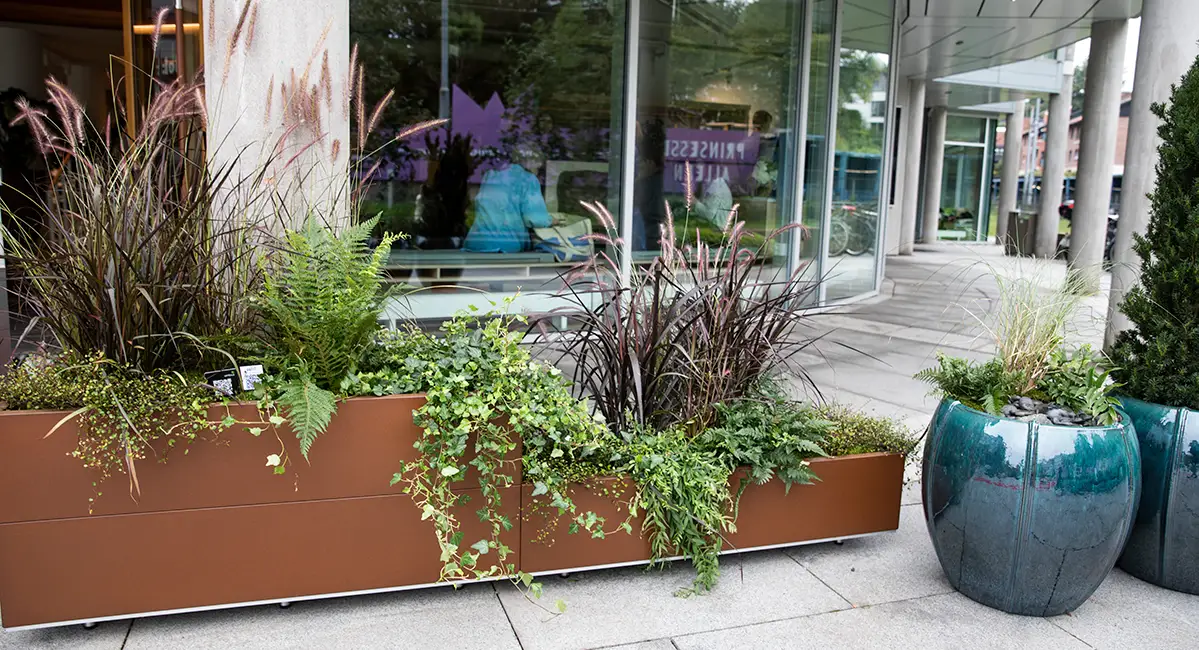 Utendørsbeplantning