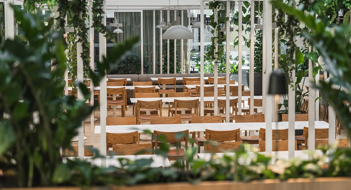 Innendørsbeplantning i kontorlandskap