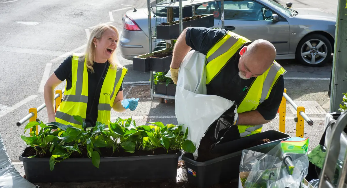 Planter skaper god stemning