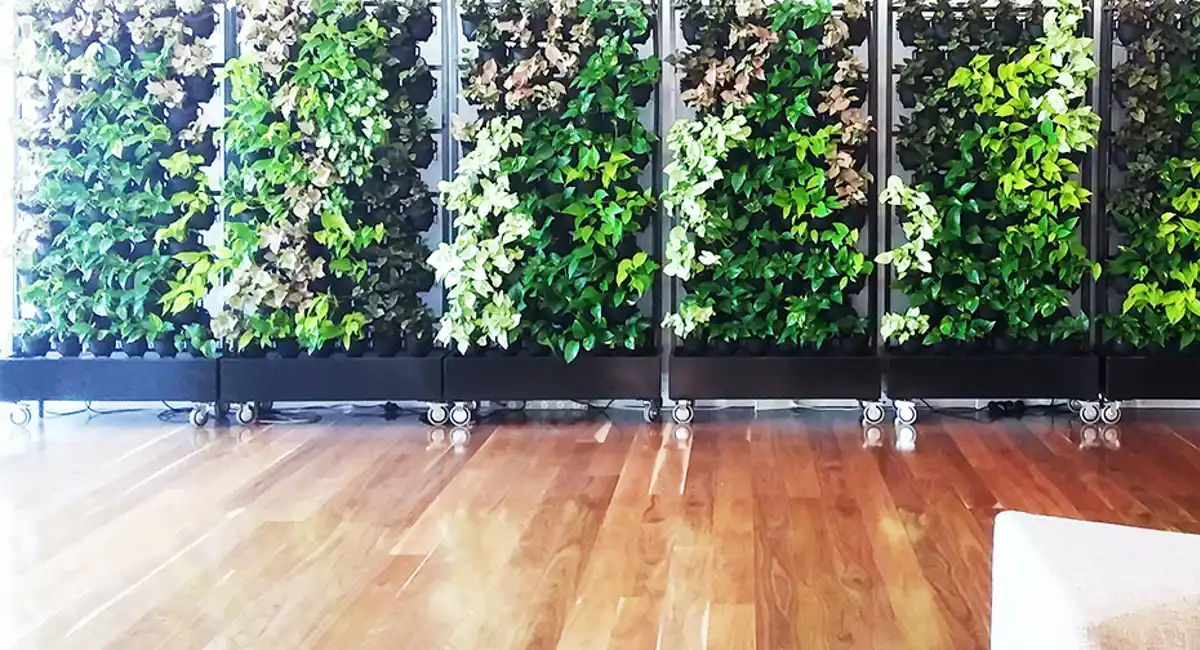 plantevegg
