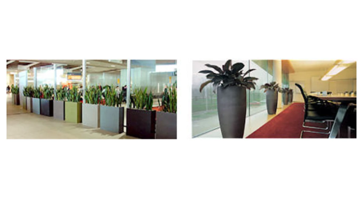 image-stock-ambius-outdoor-pots.webp