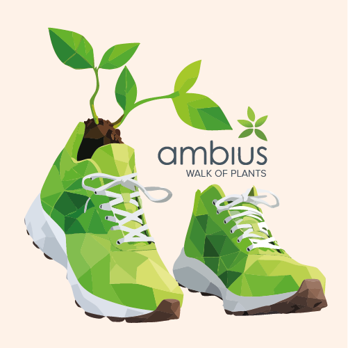 Walk of plants